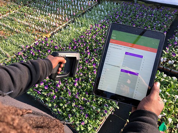 scanning plants with tablet